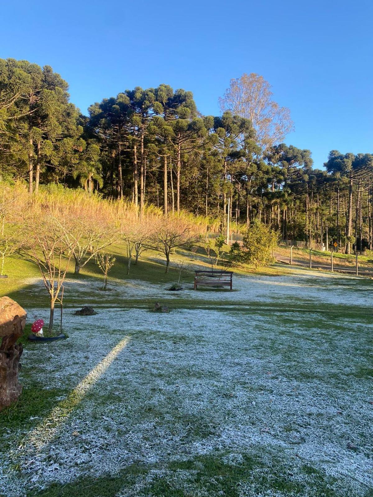 Chalet Encosta Dos Pinheiros